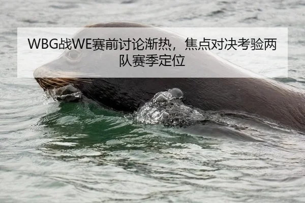 WBG战WE赛前讨论渐热，焦点对决考验两队赛季定位